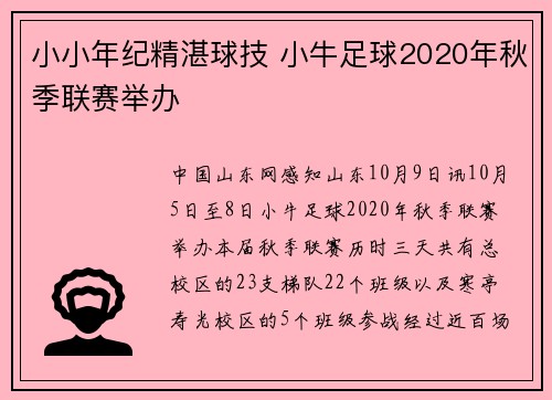 小小年纪精湛球技 小牛足球2020年秋季联赛举办