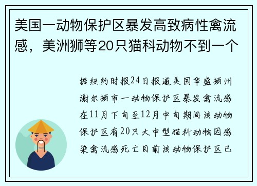 美国一动物保护区暴发高致病性禽流感，美洲狮等20只猫科动物不到一个月内死亡