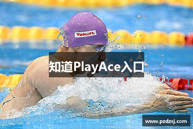 知道PlayAce入口